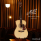 Maton - EBG808TE Tommy Emmanuel