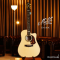 Maton - EM100C
