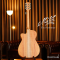 Maton - The Performer