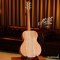 Maton - EM6