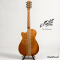 Maton - The Performer