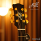 Maton - Troubadour Dreadnought
