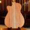 Maton - The Performer