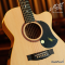 Maton - The Performer