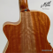 Maton - The Performer