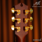 Maton - EBG808C Nashville