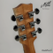 Maton - The Performer
