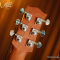 Maton - EM6