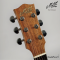 Maton - The Performer