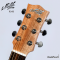 Maton - Redwood Mini RM6