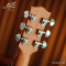 Maton - SRS808