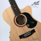 Maton - The Performer