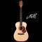 Maton - SRS808