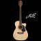 Maton - The Performer