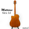 Matrixss: MES-1D,  Acoustic Electric Guitar  Slim Dreadnought