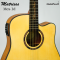 Matrixss: MES-1D,  Acoustic Electric Guitar  Slim Dreadnought