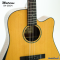 Matrixss: SM-DBSM, Acoustic Guitar, 41", Solid Top, Solid Spruce-Mahogany