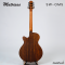 กีตาร์โปร่ง/โปร่งไฟฟ้า Matrixss | SW-OMS (Solid Spruce-Walnut)