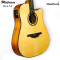 Matrixss: MES-1D,  Acoustic Electric Guitar  Slim Dreadnought