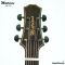 Matrixss: AW-OM, Acoustic Guitar, 40", All Walnut