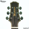 Matrixss: AW-DB2M, Acoustic Guitar, 41", All Walnut