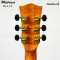 Matrixss: MES-1D,  Acoustic Electric Guitar  Slim Dreadnought