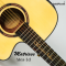 Matrixss: MES-1D,  Acoustic Electric Guitar  Slim Dreadnought