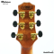 Matrixss: MESS-4D, Top Solid Acoustic Electric Guitar