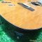 Matrixss: MESM-7D, Acoustic Electric Guitar