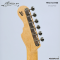Momose - MC2/R SBBD (SN:22450)