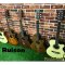 Ruison: RA-31OP, 40", Acoustic Guitar