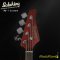 Soloking เบสไฟฟ้า Electric Bass รุ่น MJ-1 Custom In Seethru Red