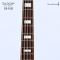 Sqoe | SJB-659E (5 Strings Active Pickup Bass)