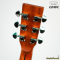 Sqoe: EA-90 C, Acoustic Electric Guitar