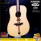 Sqoe: A999, Acoustic Electric Guitar, Top Solid Spruce AAA - Rosewood
