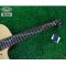 Sqoe: SL-2, Acoustic Electric Guitar