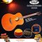 Sqoe: SQ11+EQ, Acoustic Electric Guitar