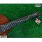 Sqoe: SL-1, Acoustic Electric Guitar