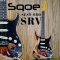 Sqoe - SEST960 SRV