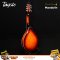 Tayste Mandolin: T-MA1