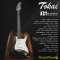 Tokai กีตาร์ไฟฟ้า Electric Guitar รุ่น AST-FB (Japan)