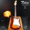 Tokai: TST-50 YS/R (Japan), Electric Guitar
