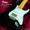 Tokai | AST-423-101-SH/M BB (SN : 240885)