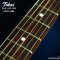 Tokai | AST-423-101-SH/R SDR (SN : 241269)