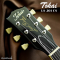 Tokai | LS201 CS (SN : 2551421)