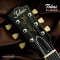 Tokai | LS201 VF (SN : 2551419)