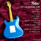 Tokai | AST-423-101-SH/R VWH (SN : 241182)