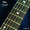 Tokai | AST-423-101-SH/R BB (SN : 241191)
