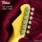 Tokai | AST-423-101-SH/R VWH (SN : 250100)