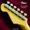 Tokai | AST-423-101-SH/M GS (SN : 241107)